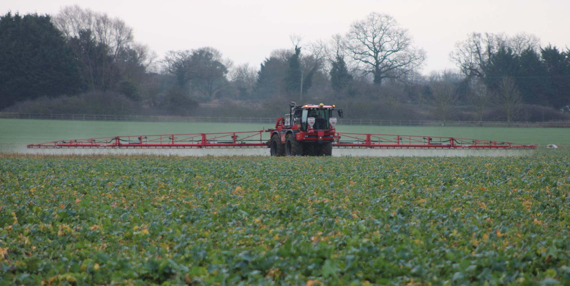 Sprayer working on a sugar beet field