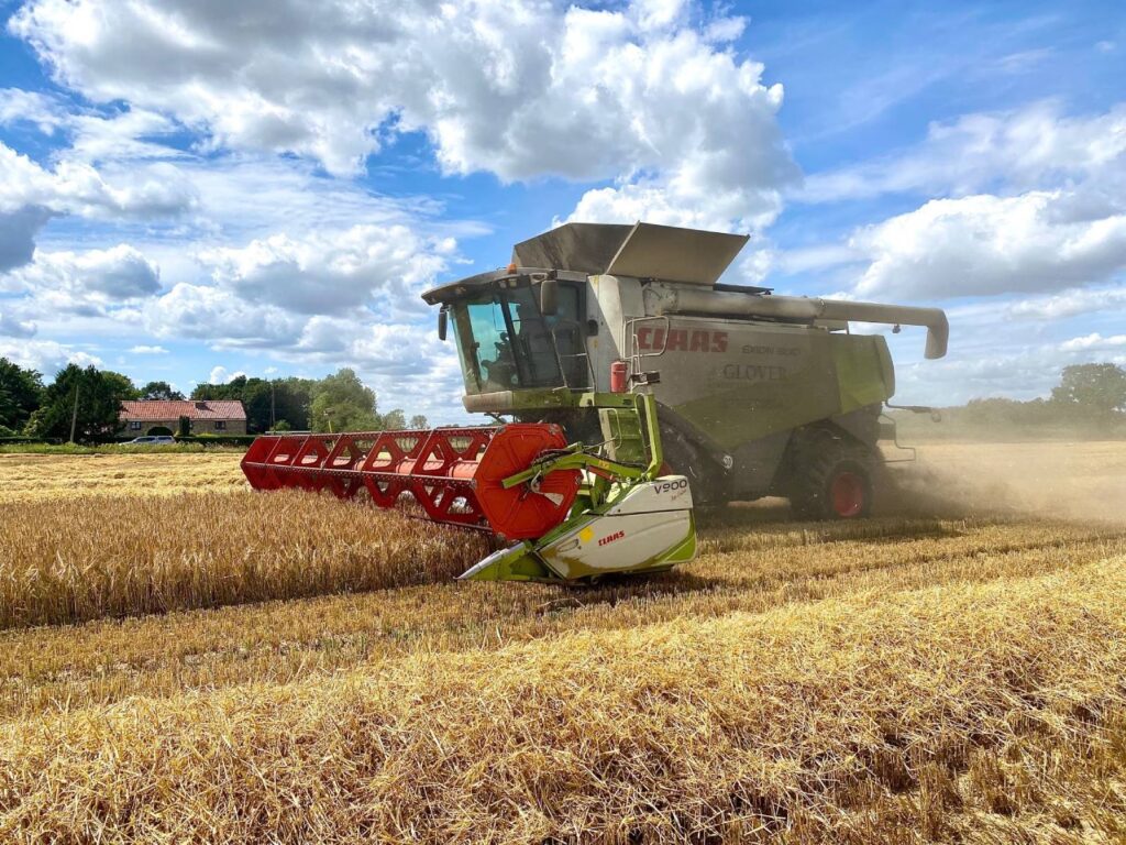 Glover green,white and red combine harvesting wheat.