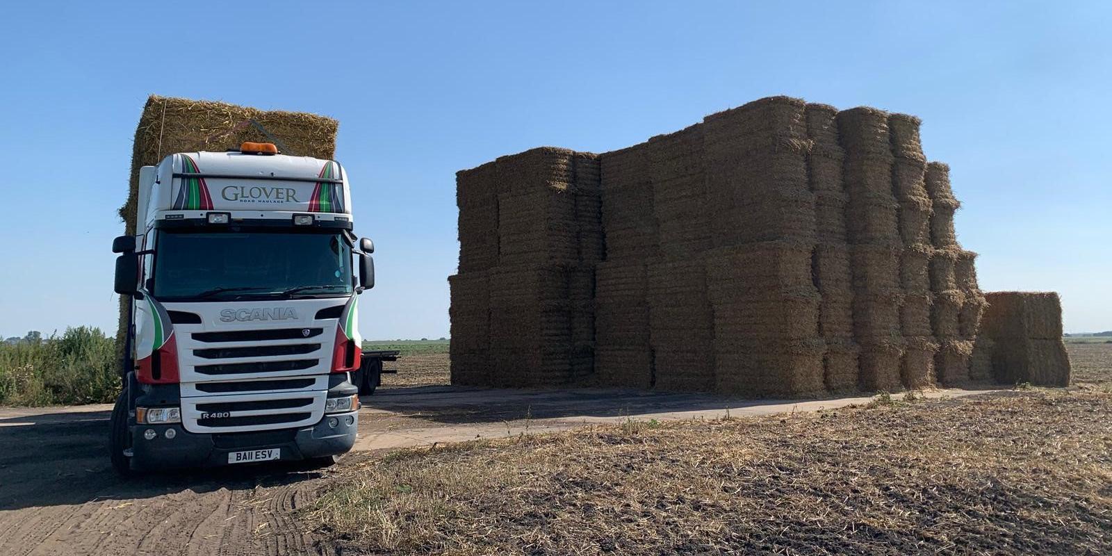 Glover Haulage lorry ready to transport stacked bales