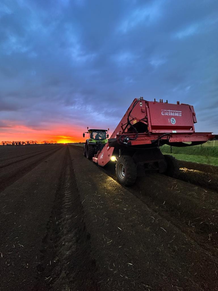 Tractor destoning with a sunset