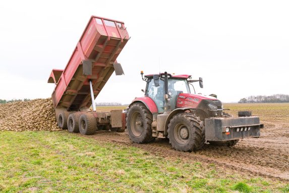 Glover red tractor tipping off sugar beets
