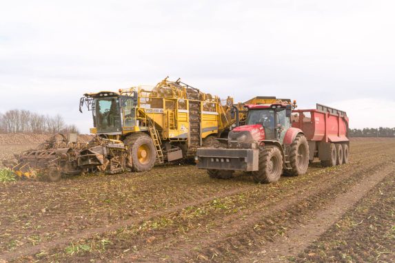 Glover red tractor and yellow combine harvesting sugar beets