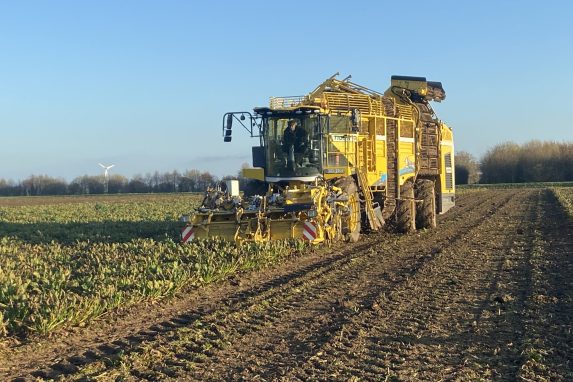 Glover yellow combine harvesting sugar beets
