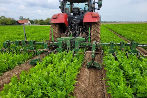 Glover Agricultural Services equipment used for hoeing parsnips.