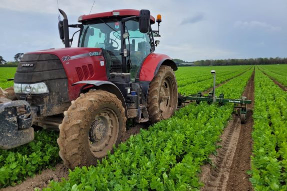 Glover Agricultural Services Case Puma 160 CVX hoeing parsnips.